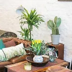 Πανσιόν Casa Babbuino