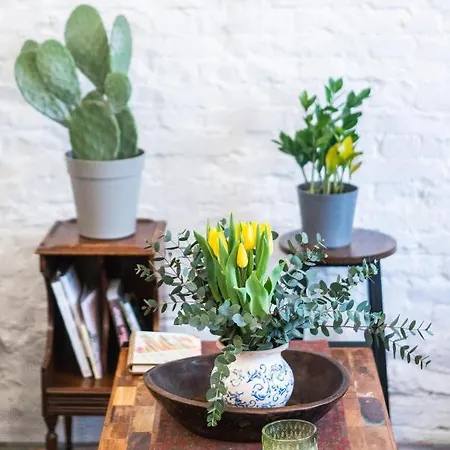 Гостевой дом Casa Babbuino