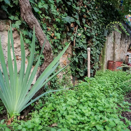 Casa Babbuino *