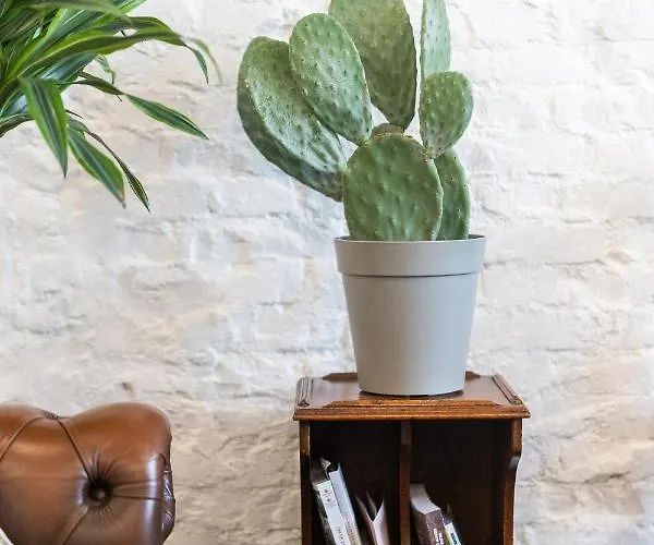 Casa Babbuino 3* Werona