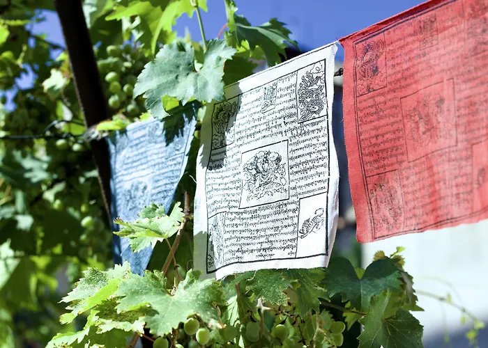 Pensjonat Casa Babbuino Werona