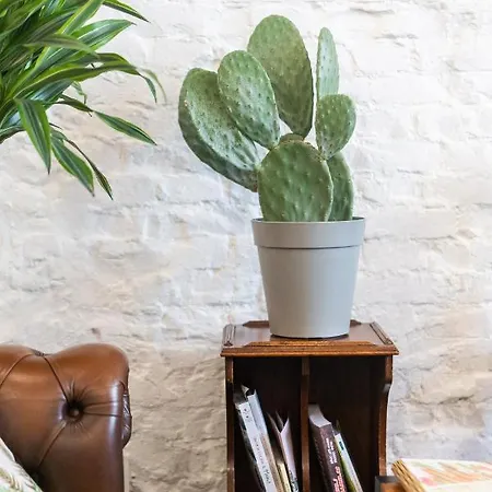Casa Babbuino * فيرونا