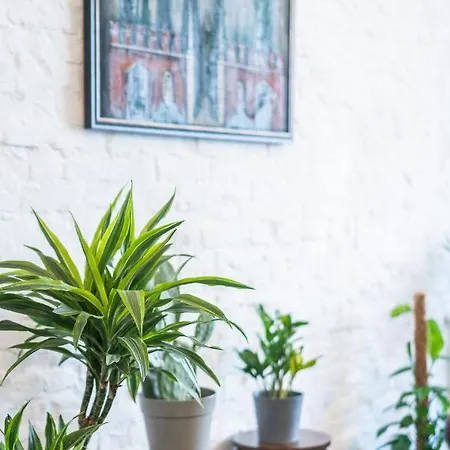Casa Babbuino Gæstehus *