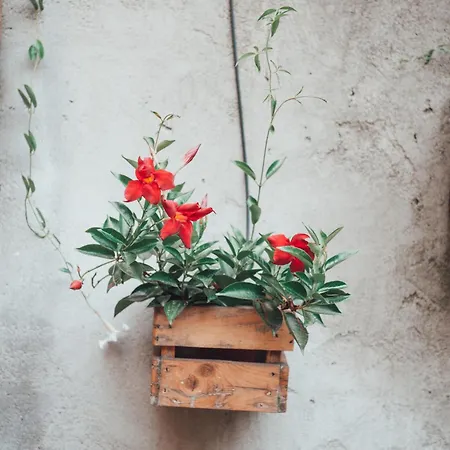 Casa Babbuino