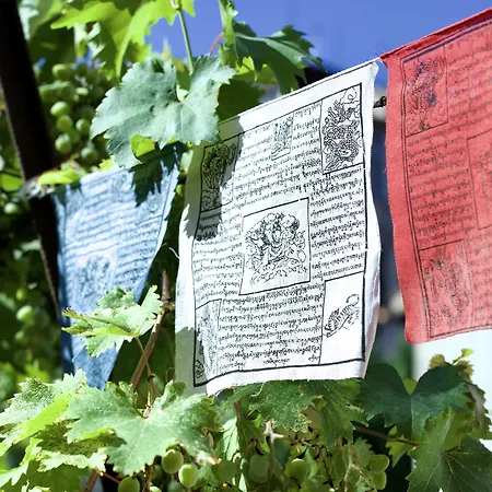 בית הארחה Casa Babbuino ורונה