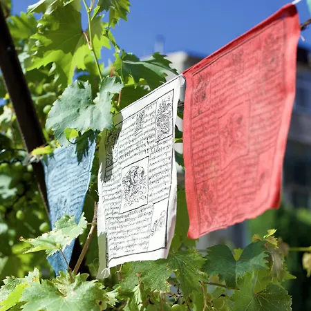 Casa Babbuino Verona