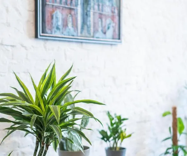 Casa Babbuino Affittacamere 3*