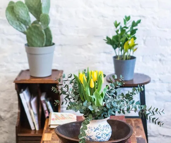 Affittacamere Casa Babbuino