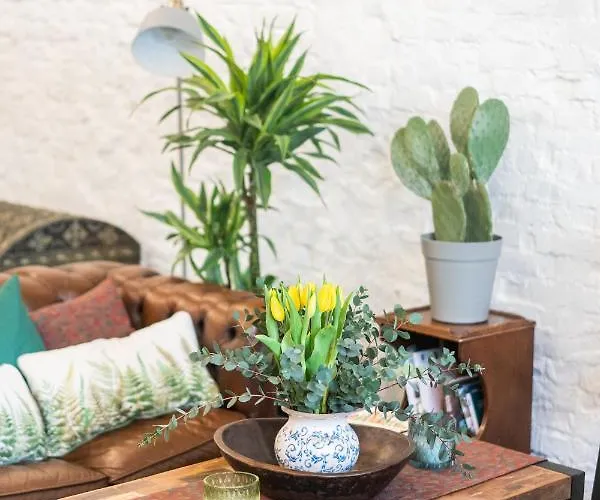 Affittacamere Casa Babbuino