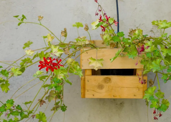 Casa Babbuino Verona