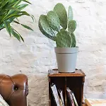 Casa Babbuino 3* Верона