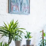 Casa Babbuino Гостевой дом 3*