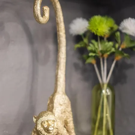 ゲストハウス Casa Babbuino